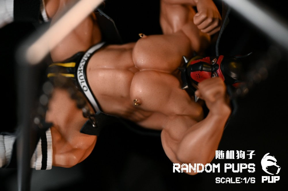 PUP Studio - Random Pups [PRE-ORDER CLOSED]