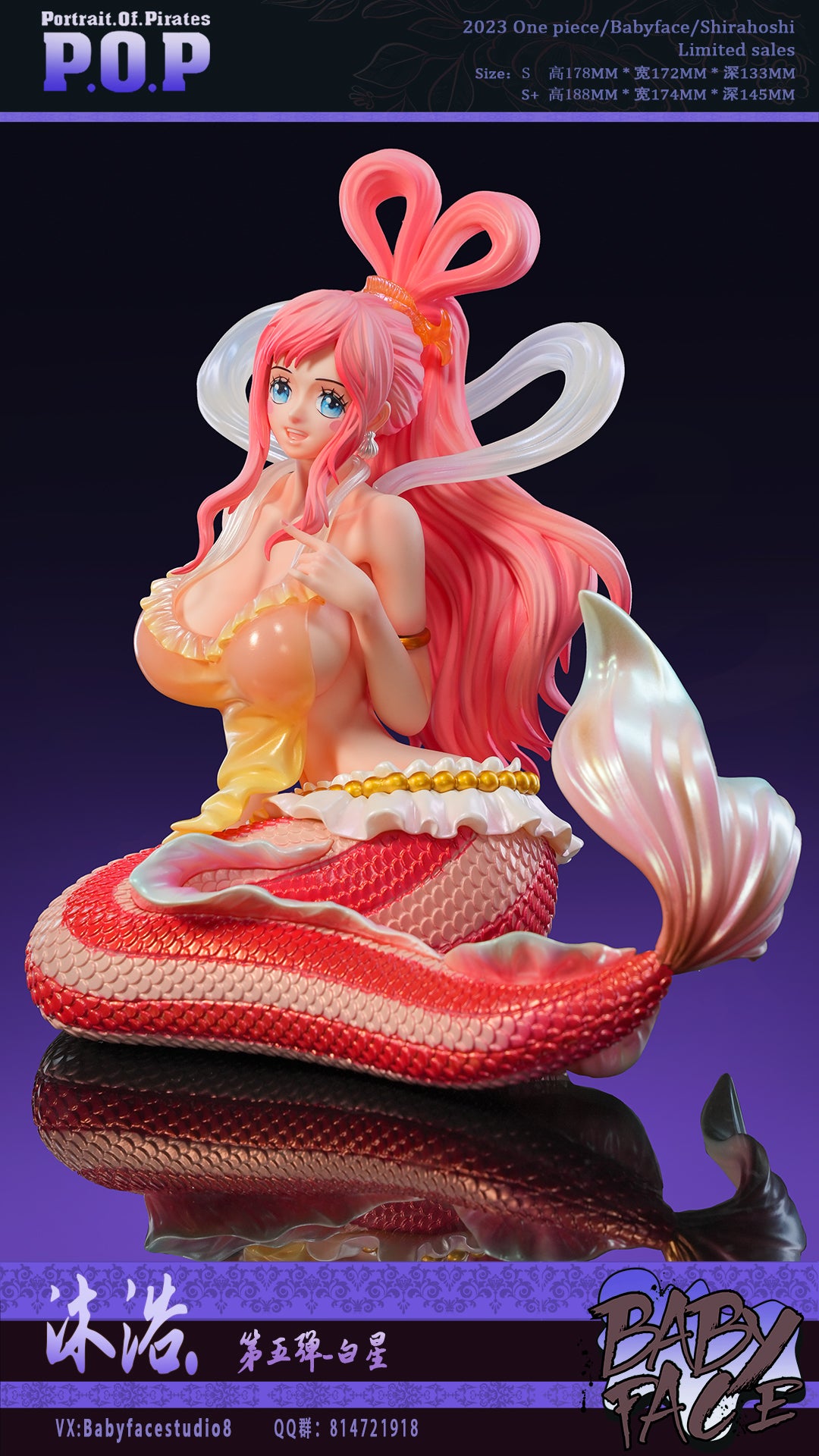 Baby Face Studio - Shirahoshi [PRE-ORDER IN-STOCK]