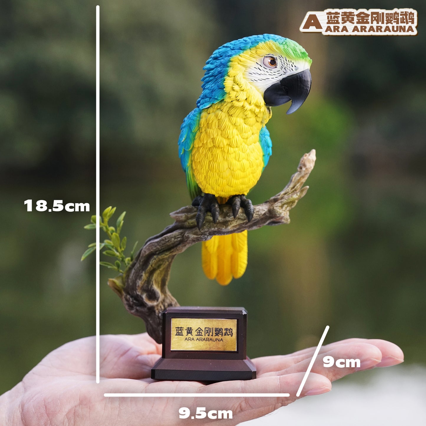 Animal Bang Bang - Bird Series Macaw [PRE-ORDER CLOSED]
