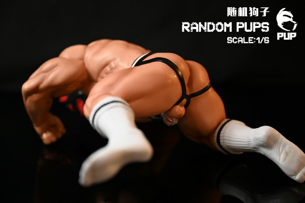PUP Studio - Random Pups [PRE-ORDER CLOSED]