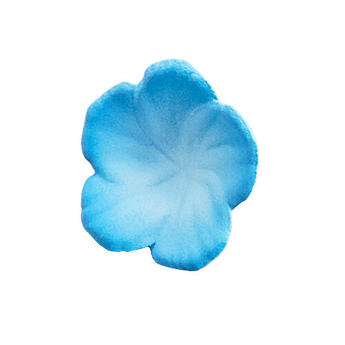 KADOKAWA - Isekaijoucho Universal Body Nemophila [PRE-ORDER]